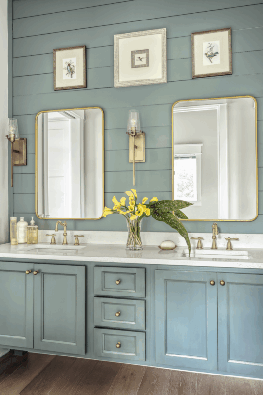 Jack and Jill Bathroom